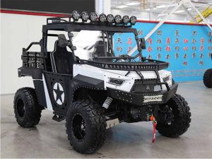 Vitacci Conqueror 1000 EFi UTV