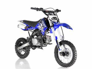 Apollo DB-X16 125cc Automatic Dirt Bike