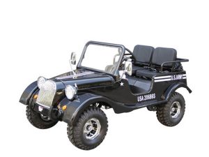 Vitacci GR5 125 Go Kart