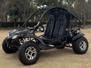 Vitacci Jag 200 EFi Go Kart