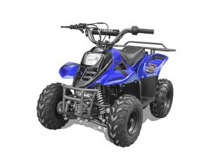 Vitacci Hawk Rex 110 ATV
