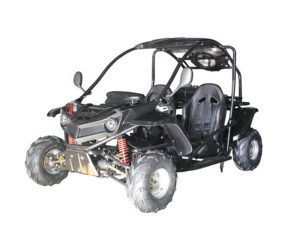 Vitacci T-Rex 125 Go Kart