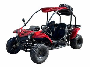 Vitacci T-Rex 150 Go Kart