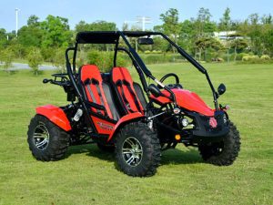 Vitacci Venture 200 EFi Go Kart