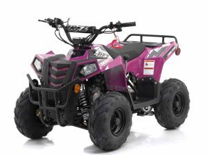 Apollo Mini Commander ATV
